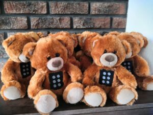 11 teddy bears with a braille pannel on their tummies. 