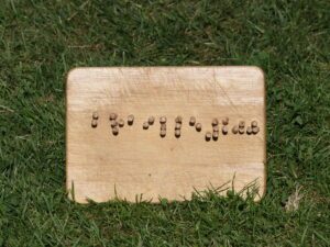 The hole board with pellets.