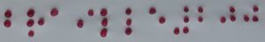 The image features red drops on a white background, forming the lettering “Braille 200”