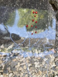 The tactile map of this tour lies on a stony surface.