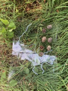 The photo shows The tactile map of the day on transparent plastic foil lying on the gras
