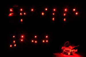The dots of the lettering “Braille 200” (in Braille) shine like bright stars in the darkness. White in the center, surrounded by an orange inner halo and a red outer halo. The word ‘Braille’ fills the upper half of the image. In the lower half, the number “200” appears on the left.
At the bottom right of the image, a small toy turtle stands in a bright red cone of light, its head turned to the right, surrounded by red circles of light.
And at the top left, behind the “B” of “Braille,” a pair of 1950s cat-eye sunglasses also glows faintly red, emerging from the darkness.