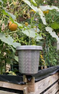 The planter shown is about 25 cm high and has a diameter of approximately 20 cm. It is made of aluminum, with dots measuring around 4 mm in diameter embossed on its side wall. The phrase “Everyone needs water” is written in Braille all around it.
The Braille characters are about 2.5 cm high. The sentence runs twice around the pot in one line and additionally in four lines one below the other. The same sentence is embossed again in normal writing on the underside.
The pot stands on a lawn in the garden. A tomato plant grows in it, protruding about 20 cm above the rim of the pot.